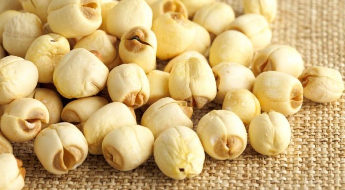 Is Lotus Seed High in Calories? Does Eating Lotus Seed Make You Fat?