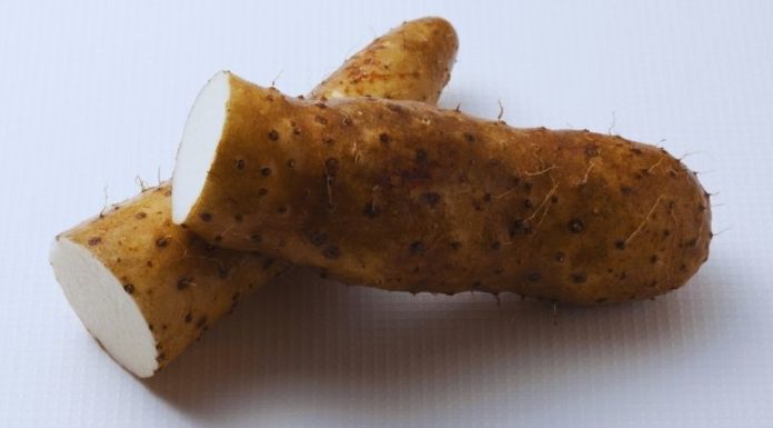 Is 100g of Taro Equal to How Many Calories? Does Eating Taro Make You Fat?