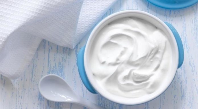 Does Greek Yogurt Make You Fat? How Many Calories in 100g?