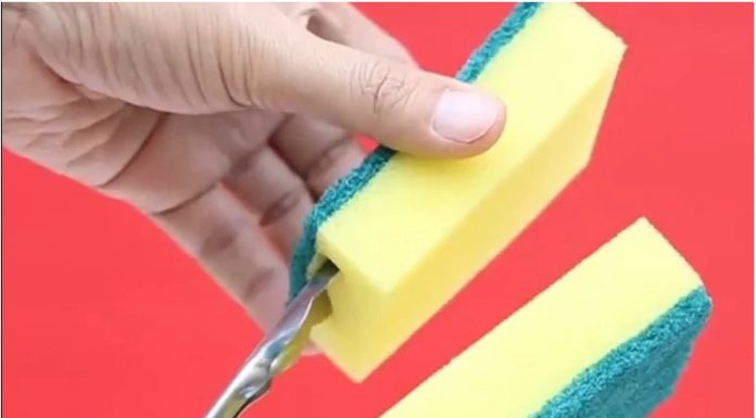 15 Creative Uses for Your Kitchen Sponge