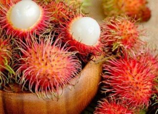 The Ultimate Guide to Choosing the Perfect Rambutan: How to Pick the Best Fruit and Make It Even Tastier at Home