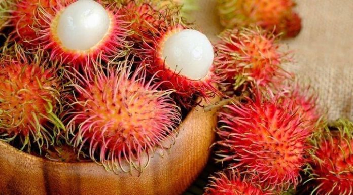 The Ultimate Guide to Choosing the Perfect Rambutan: How to Pick the Best Fruit and Make It Even Tastier at Home