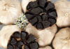The Comprehensive Handbook to Discerning Authentic Li Son Black Garlic