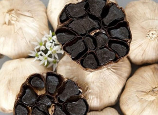 The Comprehensive Handbook to Discerning Authentic Li Son Black Garlic