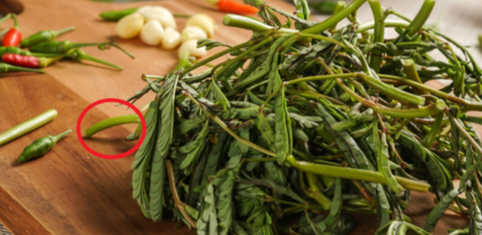 “This Handful of Herbs is as Good as Meat: A Nutritional Powerhouse Disguised as a Wild Weed”