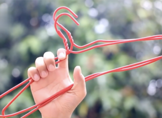 20 Creative Ways to Use a Coat Hanger