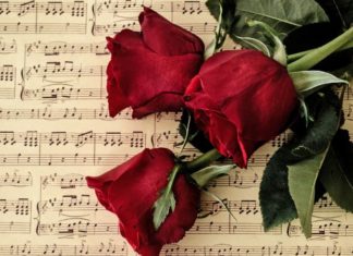 The Ultimate Guide to Valentine’s Day Wishes: 20+ Heartfelt Messages for Your Girlfriend