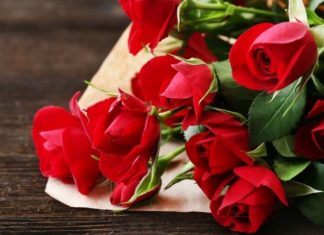 The Ultimate Guide to 20+ Birthday Blooms: Delightful Gifts for Mom and Your Beloved