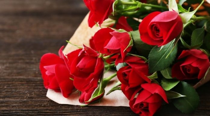 The Ultimate Guide to 20+ Birthday Blooms: Delightful Gifts for Mom and Your Beloved