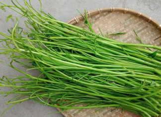 The Ultimate Guide to Storing Water Spinach: 3 Simple Steps to Keep it Fresh for Weeks