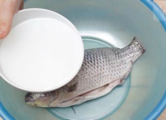 The Ultimate Guide: 3 Simple Steps to Eliminate Fishy Odor