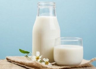 The Art of Kintsugi: Reviving Broken Ceramics with Everyday Fixes