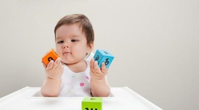 The Golden Window: Unlocking Your Child’s IQ Potential