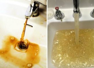 3 Unexpected Reasons Why Your Toilet Bowl Turns Yellowish