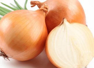 3 Tips to Get Rid of Ants, Cockroaches and Mosquitoes Safely and Effectively