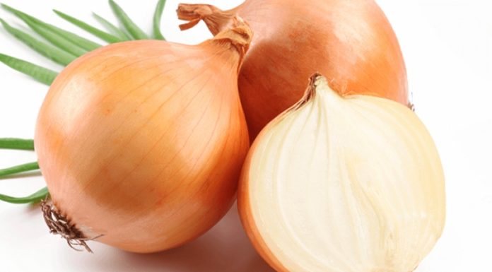 3 Tips to Get Rid of Ants, Cockroaches and Mosquitoes Safely and Effectively