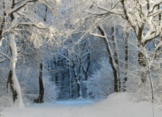 The Winter Flirt: 30+ Captivating Captions to Charm Your Audience