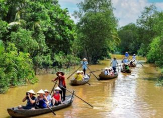 The Ultimate Long Hồ Travel Guide: 4 Must-Visit Destinations