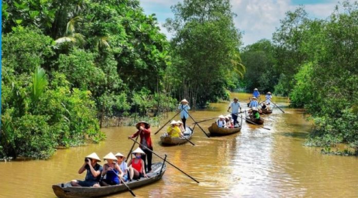 The Ultimate Long Hồ Travel Guide: 4 Must-Visit Destinations