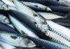 “The Ultimate Guide to Choosing Fresh, Chemical-Free Mackerel”