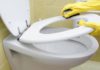 3 Toilet Cleaning Mistakes You Should Avoid