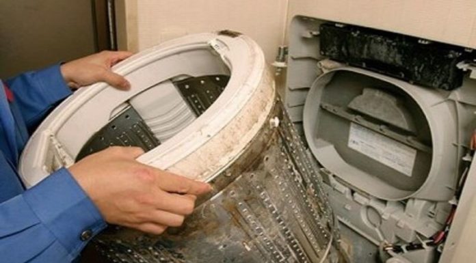 The 4 Unsuspected Indoor Spots Where Harmful Mold Lurks and How It Affects Your Health