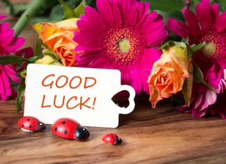 40 Unique and Heartfelt Graduation Wishes in English