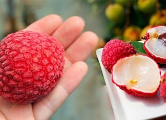 How Much Lychee is Too Much for Adults and Children? Indulge in Moderation to Avoid Internal Heat and Breakouts.