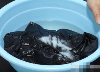 10 Surprising Uses for Table Salt: Impress Your Family with These Handy Hacks