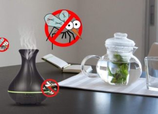 5 Effective Pest Control Tips for Apartments