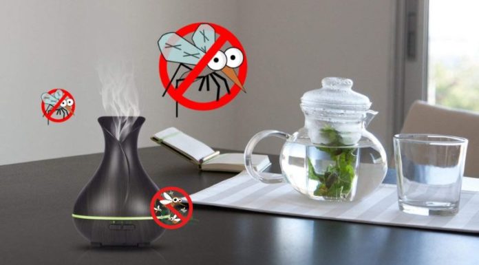 5 Effective Pest Control Tips for Apartments
