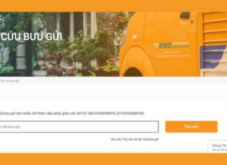 5 Quick and Easy Ways to Track Your EMS Parcel