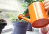 The Magic of Baking Soda: 5 Amazing Uses for Your Garden