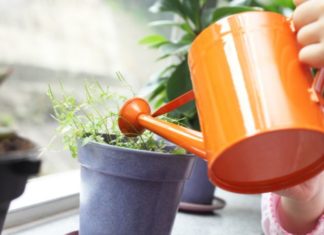 The Magic of Baking Soda: 5 Amazing Uses for Your Garden