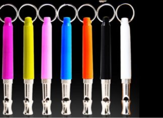 5 Essential Tools for Efficient and Quick Dog Training at Home