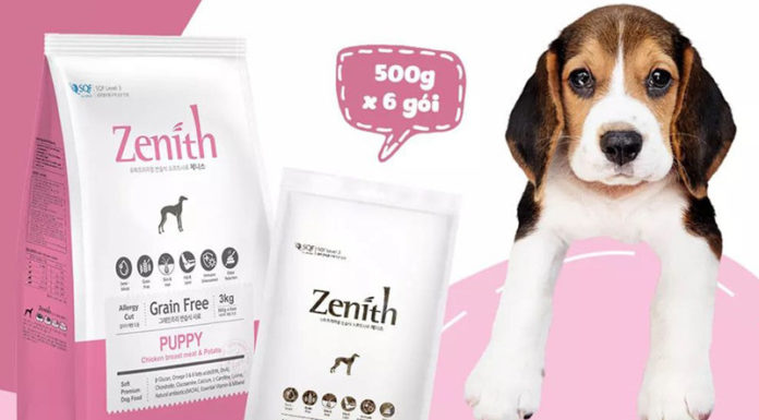 The Top 5 Dog Food Brands You Need to Know About