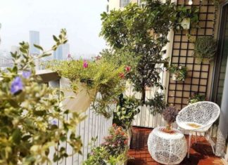 The 5 Types of Trees You Should Never Plant on Your Balcony