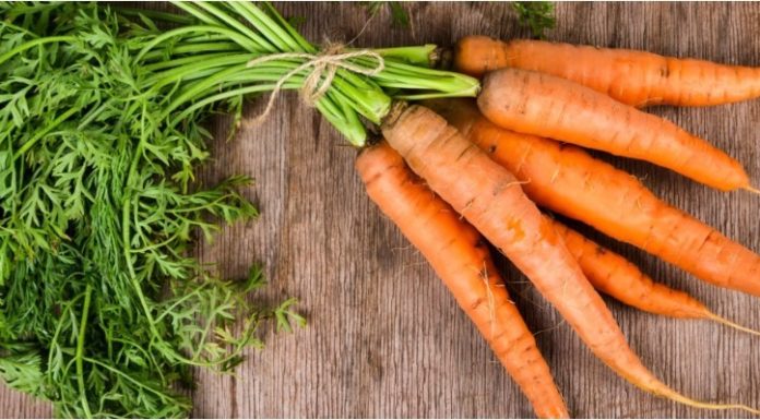 The Ultimate Guide to Root-to-Stem Veggie Power: 5 Veggies You Should Never Chop the Tops Off