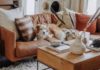 5 Tips for Choosing the Perfect Pet-Friendly Sofa