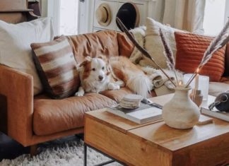 5 Tips for Choosing the Perfect Pet-Friendly Sofa
