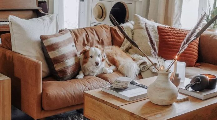 5 Tips for Choosing the Perfect Pet-Friendly Sofa