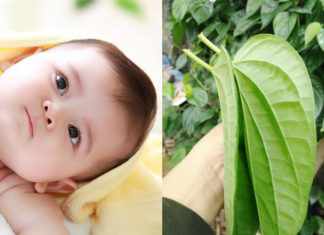 5 Time-Honored Tips for Mothers to Raise Healthy and Chubby Babies