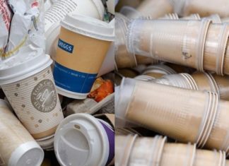 5 Ingenious Ways to Reuse Plastic and Paper Cups
