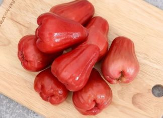 5+ Tips to Induce Off-Season Flowering in An Phuoc Apricots