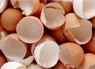 The Secret Ingredients in Your Kitchen: 5 Unsung Heroes for Your Garden