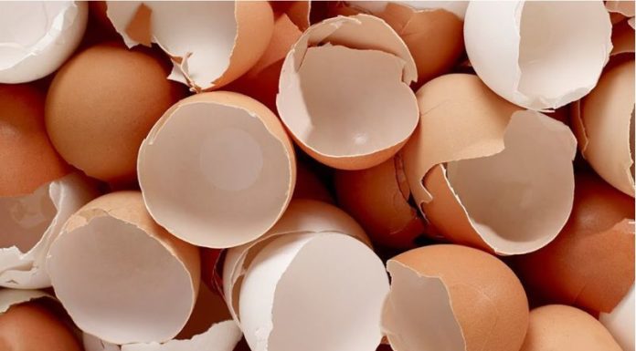 The Secret Ingredients in Your Kitchen: 5 Unsung Heroes for Your Garden