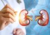 5 Bad Habits That Are Damaging Your Kidneys