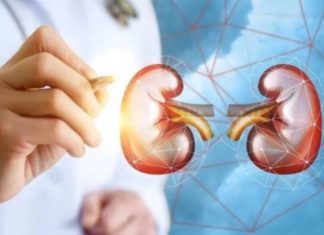 5 Bad Habits That Are Damaging Your Kidneys