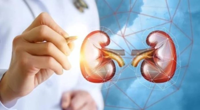 5 Bad Habits That Are Damaging Your Kidneys