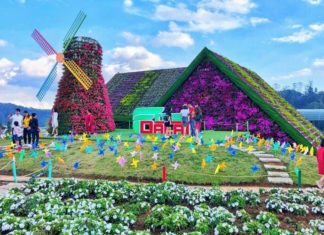 The Ultimate Guide to Witty and Engaging Travel Captions for Your Next Adventure in Da Lat